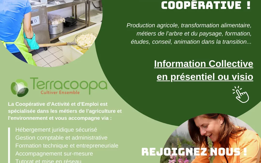 Réunion d’information collective 4 novembre 2025