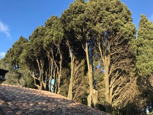 formation en collectif_11zon