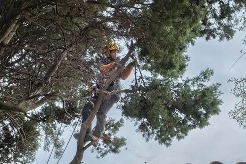 formation participative_11zon