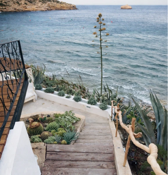 formation participative_11zon